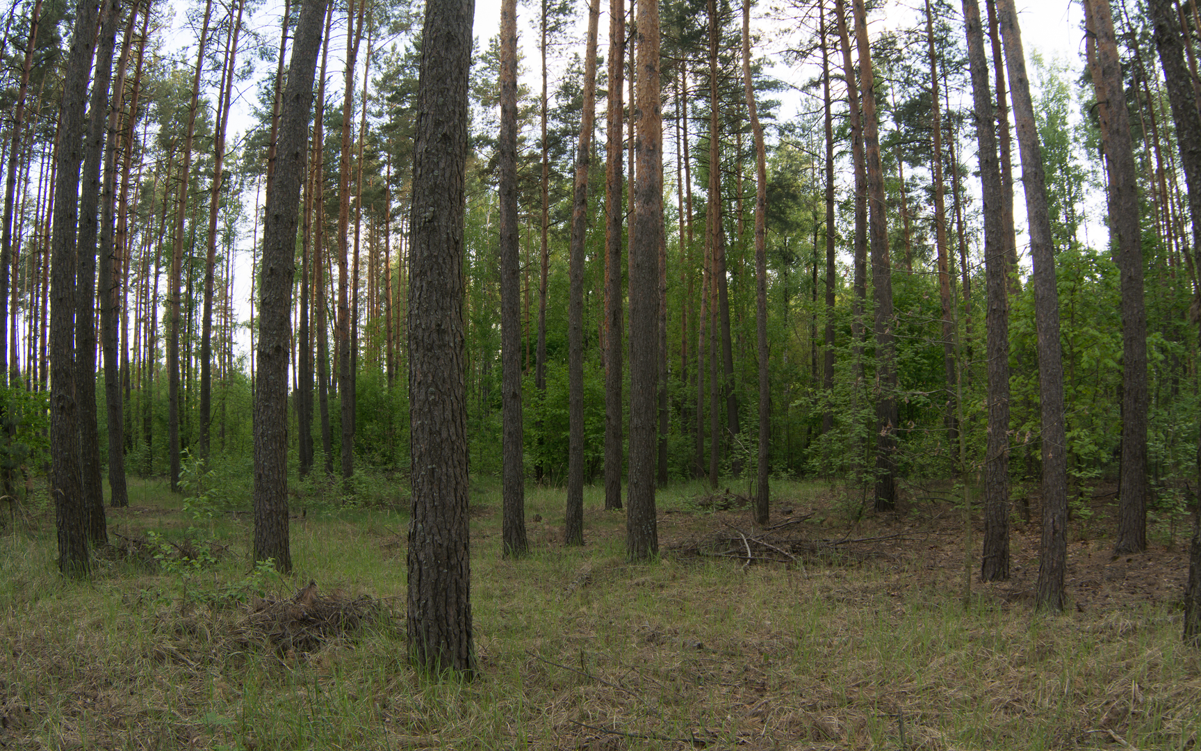До обработки
